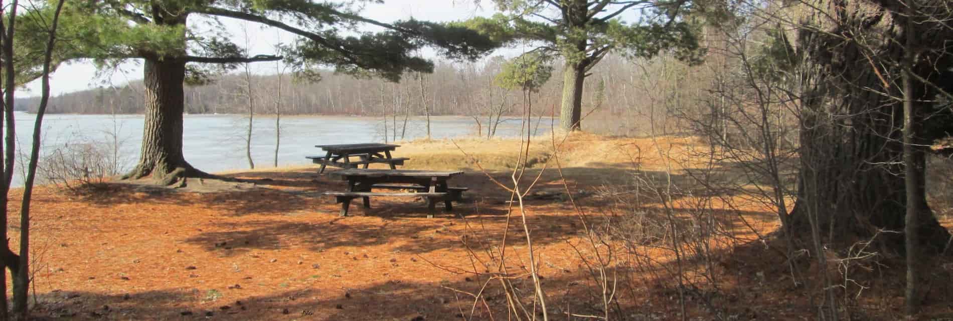 picnic-tables-under-pines-with-lake-in-background-on-a-sunny-fall-day