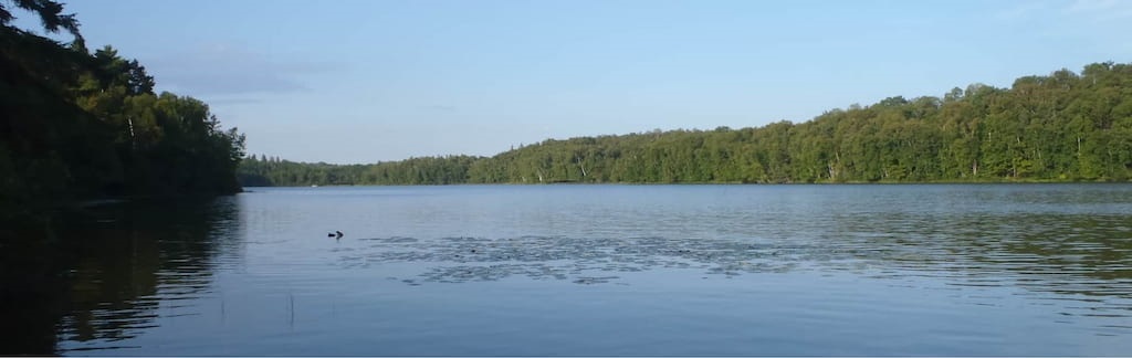 Trout-Lake-wide-shot-lilly-pads-foreground-distant-shoreline
