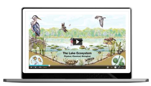 logo for Michigan State University extension course 'Intro to Lakes'