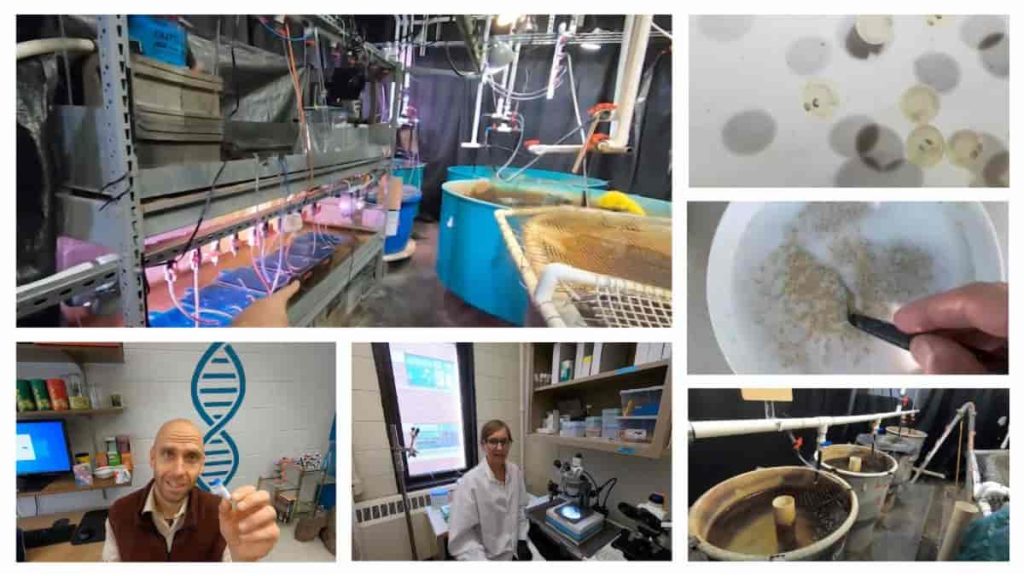 six images showing various activities in the MAISRC labs