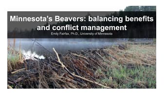 segment logo for MN Beavers-balancing benefits and conflict management