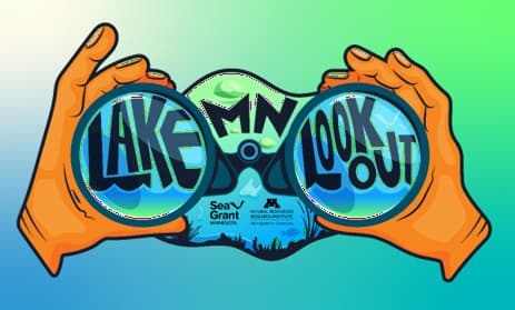 Lake Lookout Program logo - graphic of hands holding a binocular