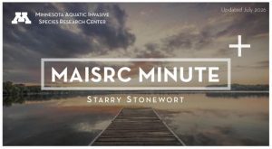 MAISRC Minute logo show a wide shot of lake with a dock in the foreground